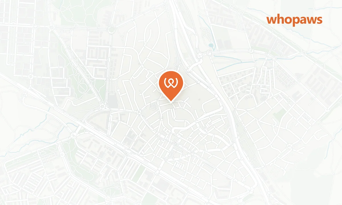 Mapa de la ubicación de Parking Cercanías Las Rozas (Aparca+T)