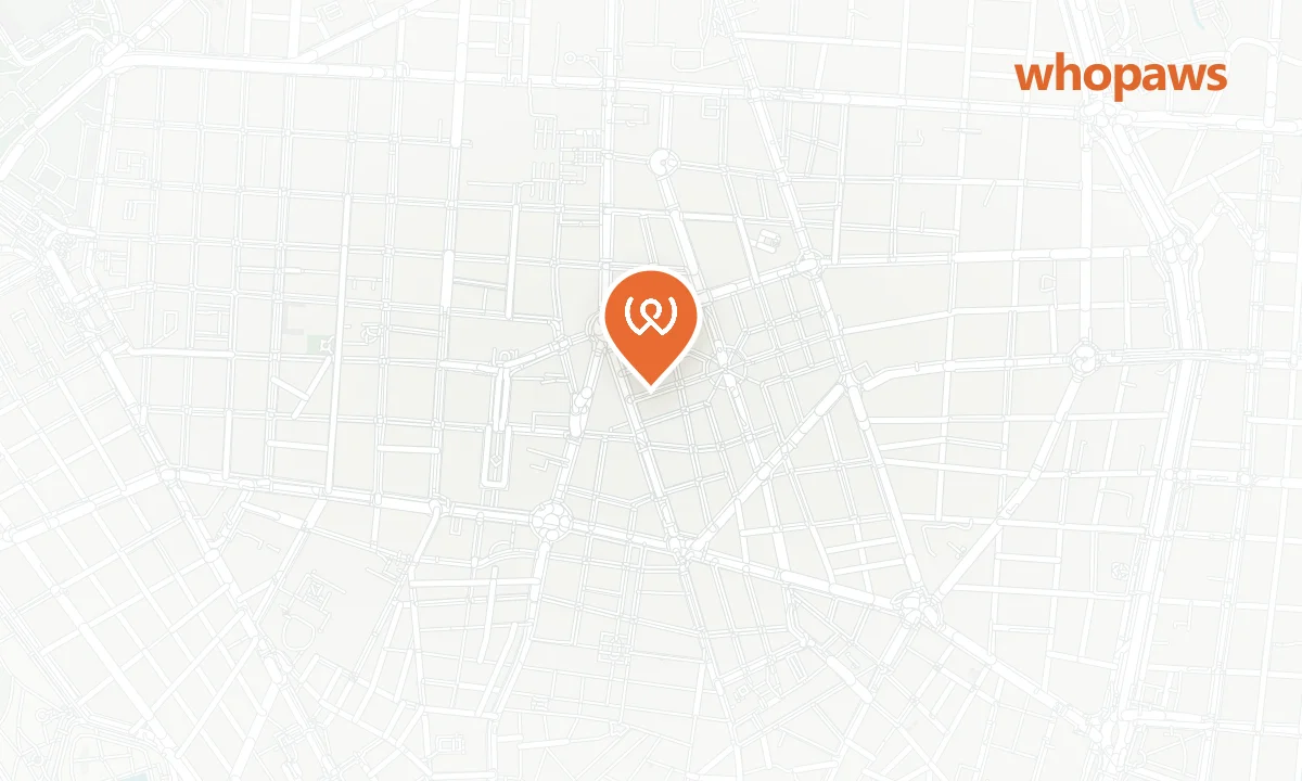 Mapa de la ubicación de Romero Verde