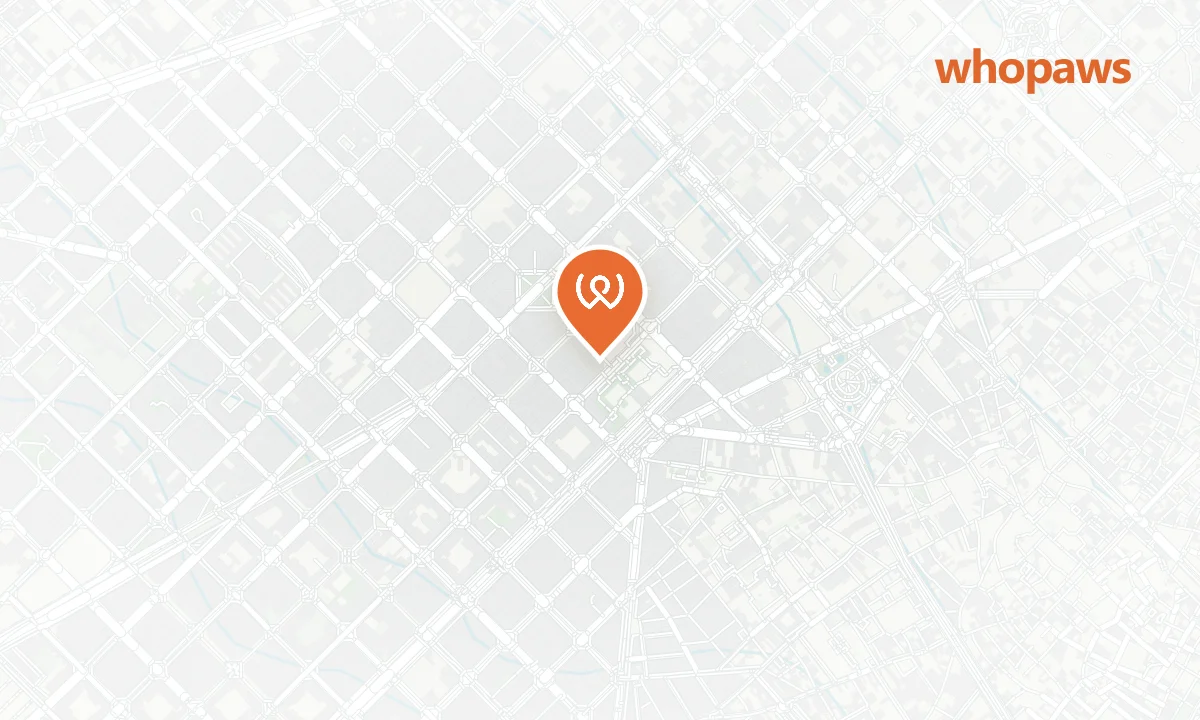 Mapa de la ubicación de Índigo Café & Brunch