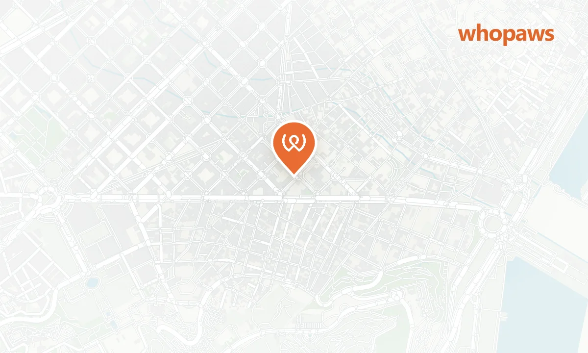 Mapa de la ubicación de Erizo