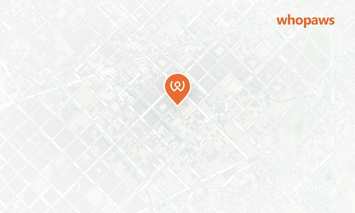 Mapa de la ubicación de Betlem Miscelánea Gastronómica