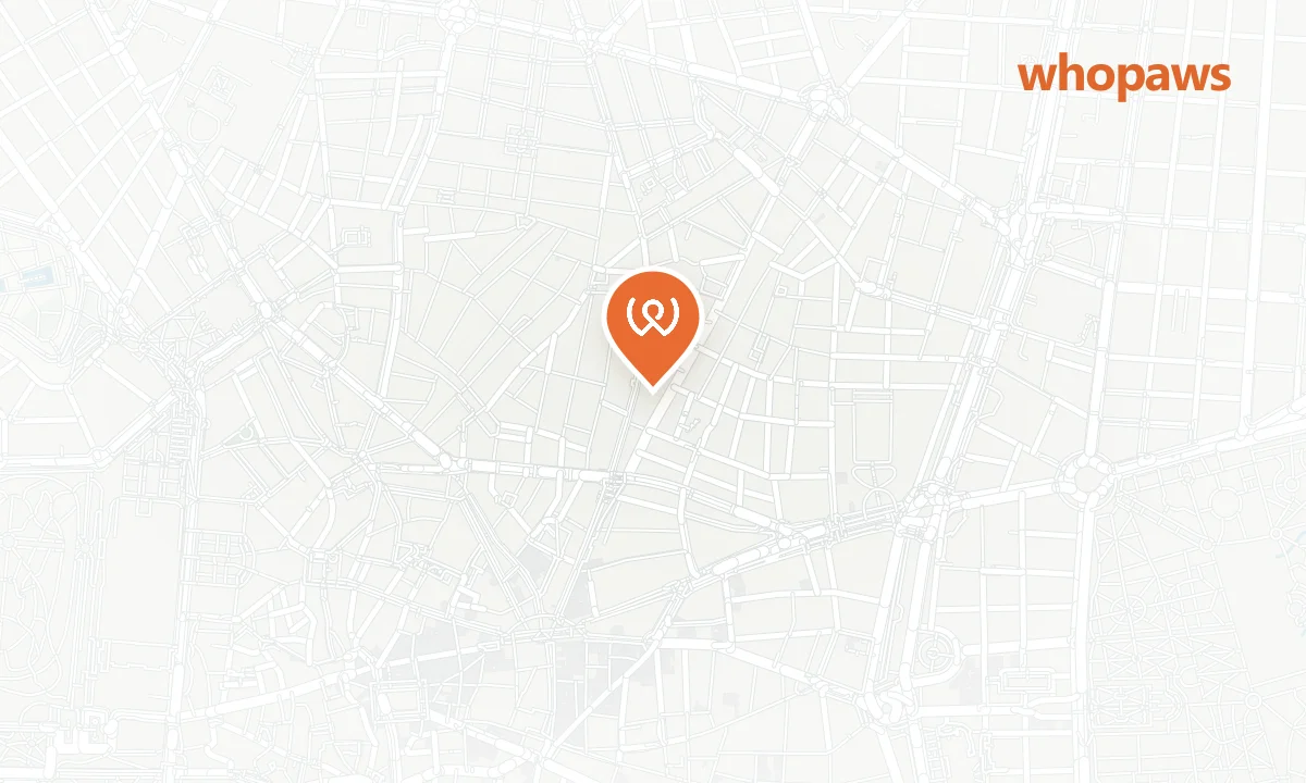 Mapa de la ubicación de Petit Palace Chueca