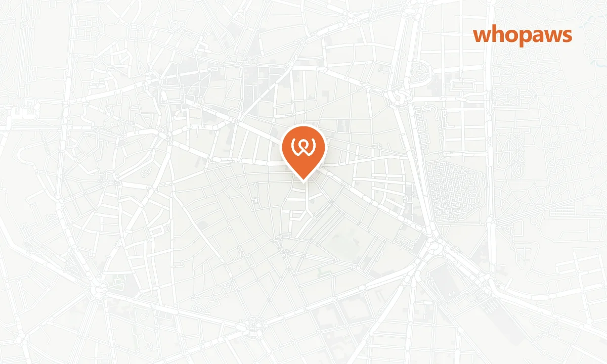 Mapa de la ubicación de Madre Flaca