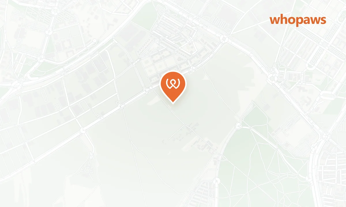 Mapa de la ubicación de BosqueSur