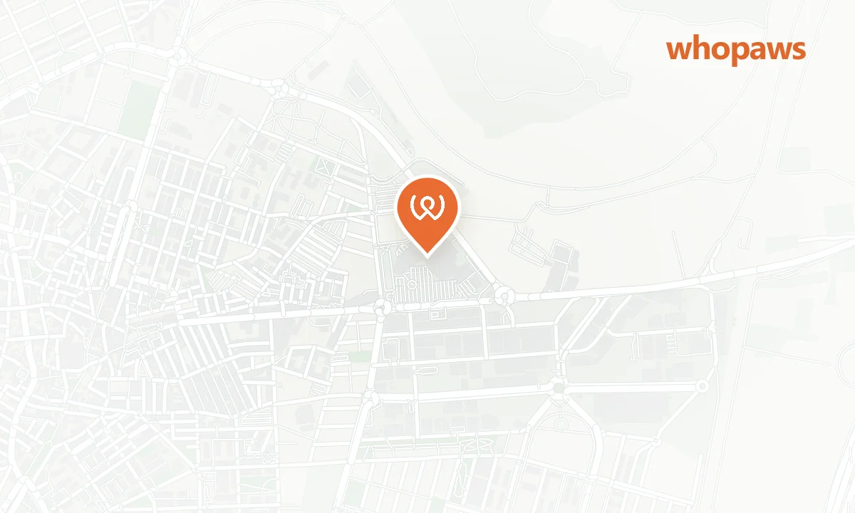 Mapa de la ubicación de Centro Comercial El Ferial