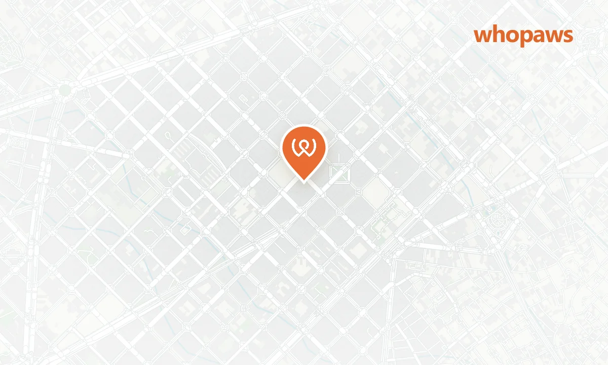 Mapa de la ubicación de Mad Mad Vegan Barcelona