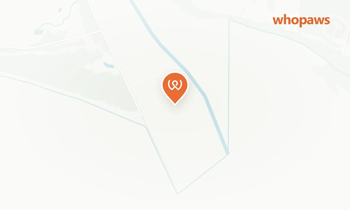 Mapa de la ubicación de Playa canina de Ayamonte