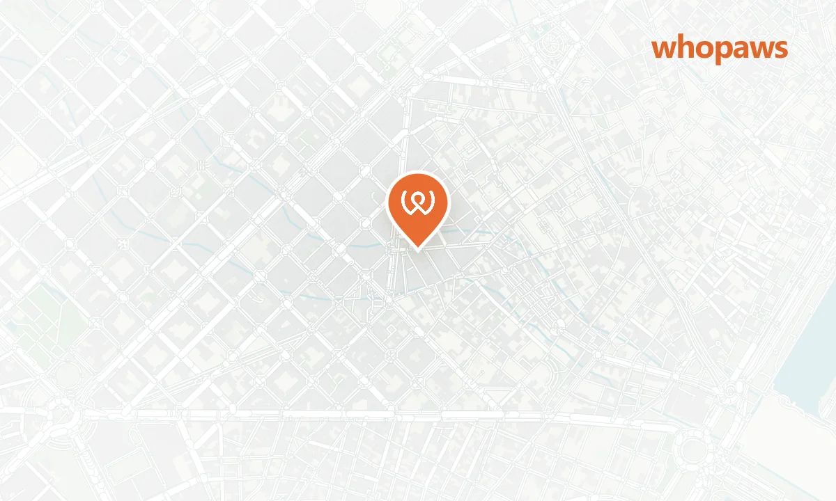 Mapa de la ubicación de Foxy