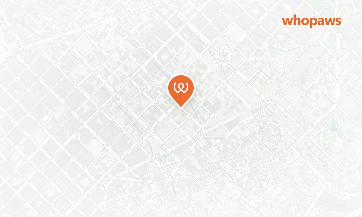Mapa de la ubicación de Alsur Café - Llúria