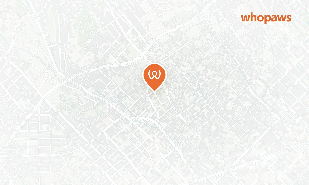Mapa de la ubicación de Corgi Café Gràcia