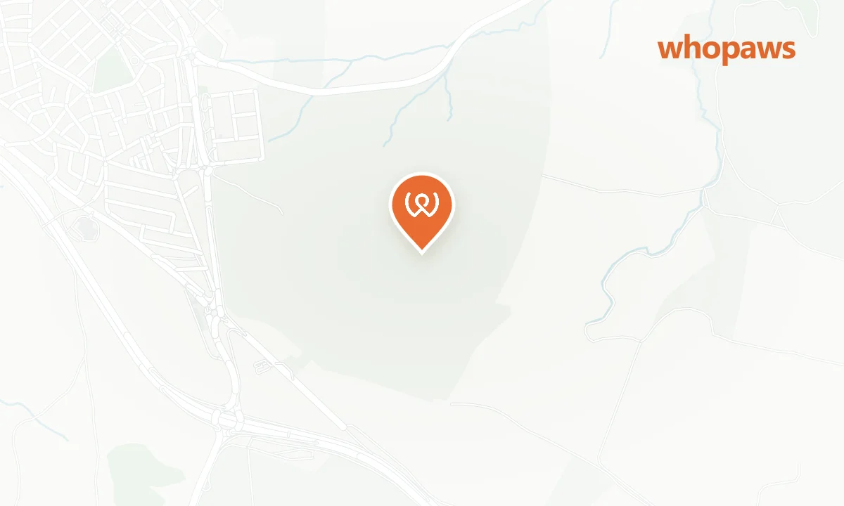 Mapa de la ubicación de Área de Servicio Brunete (M-501 km 15)