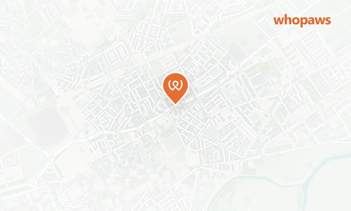 Mapa de la ubicación de Hotel Complutense