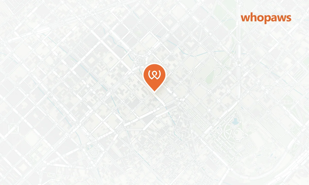 Mapa de la ubicación de Noah’s Coffee