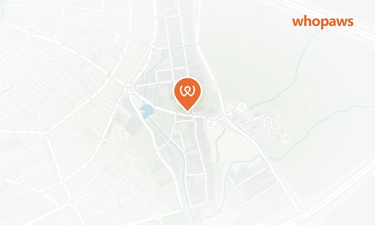 Mapa de la ubicación de QAnimals Móstoles