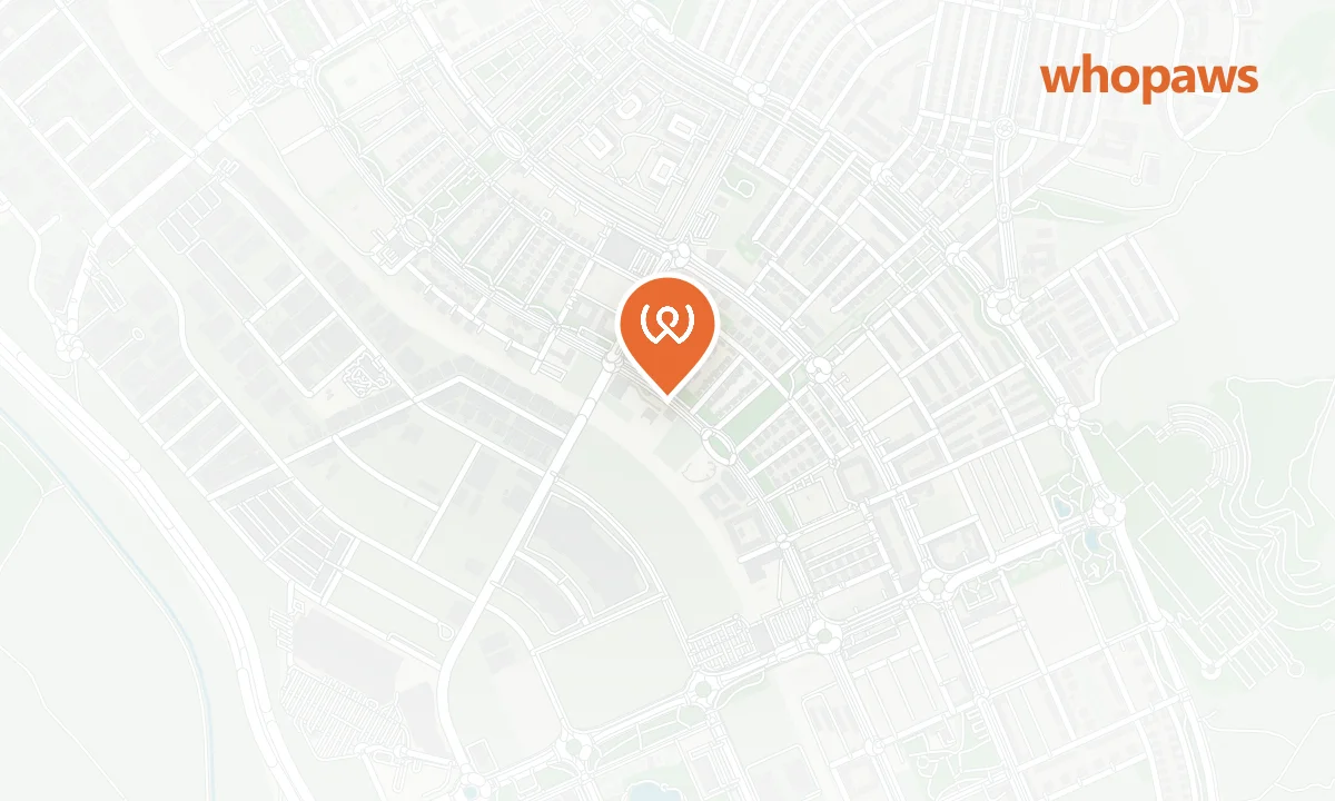 Mapa de la ubicación de Dársenas Autobús Rivas Futura