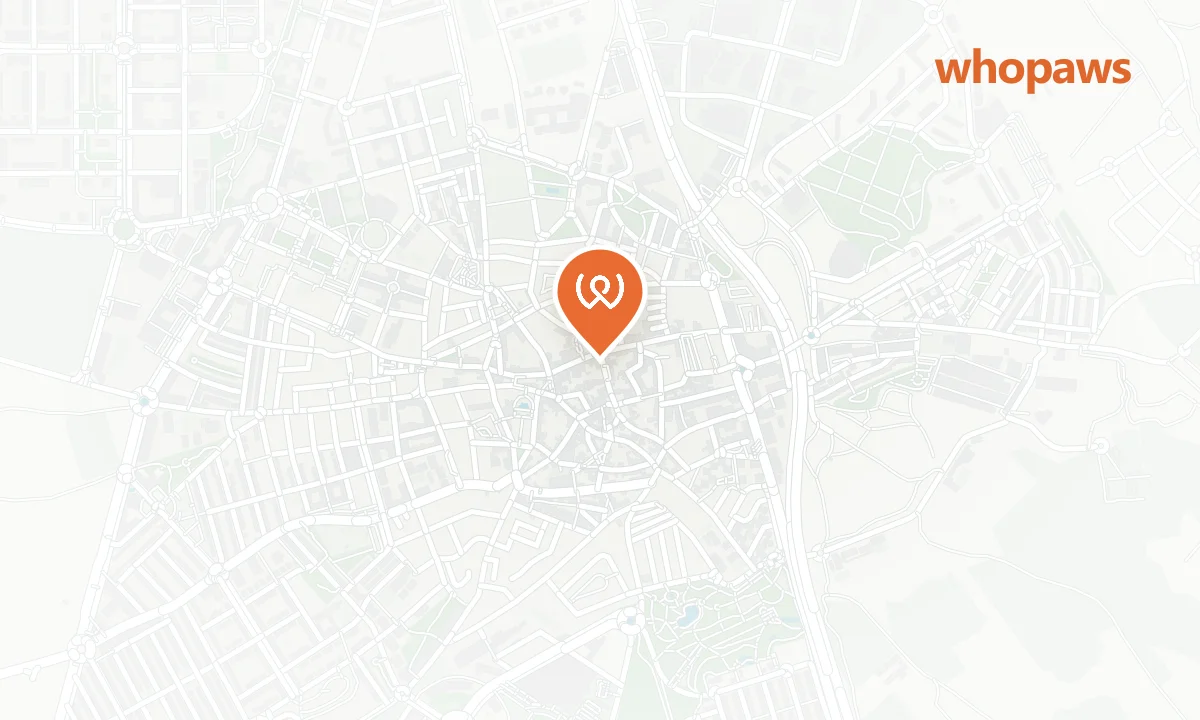 Mapa de la ubicación de Repsol Valdemoro Andalucía (Lavado Canino)