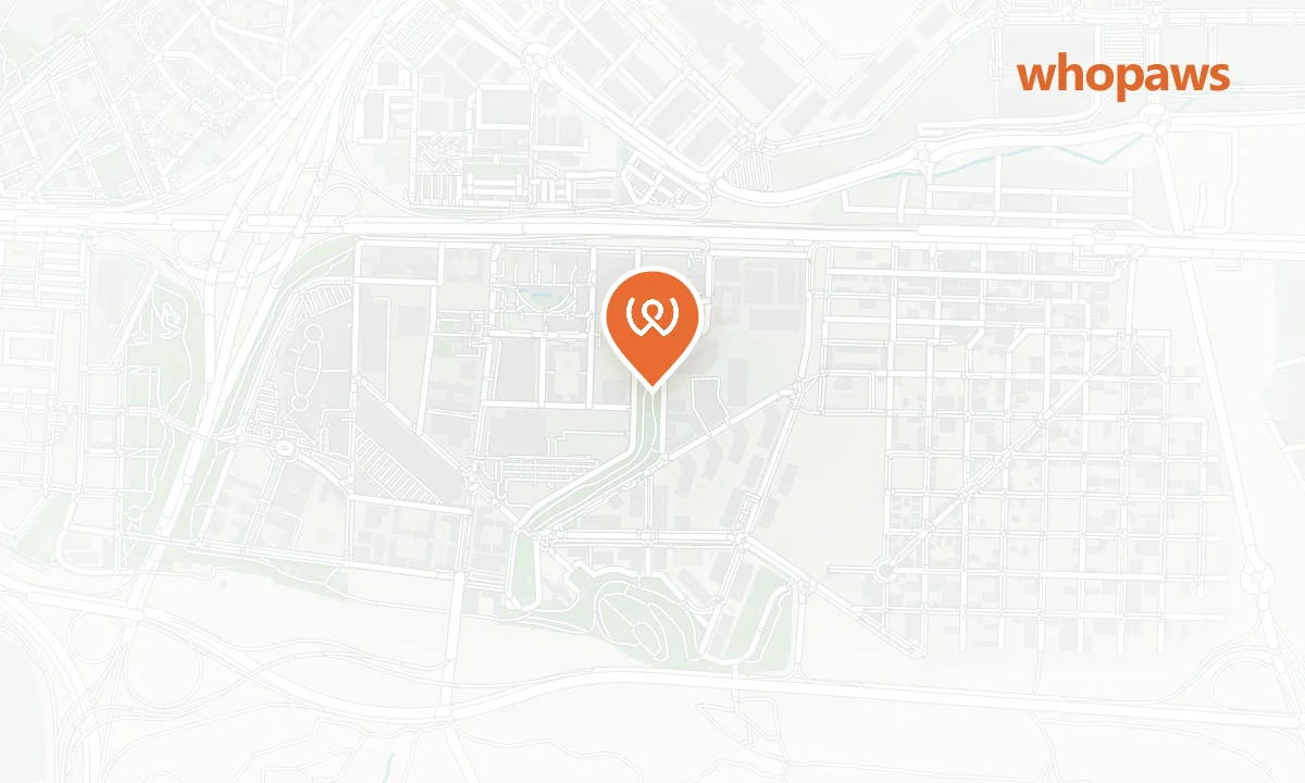 Mapa de la ubicación de Axor Feria Hotel