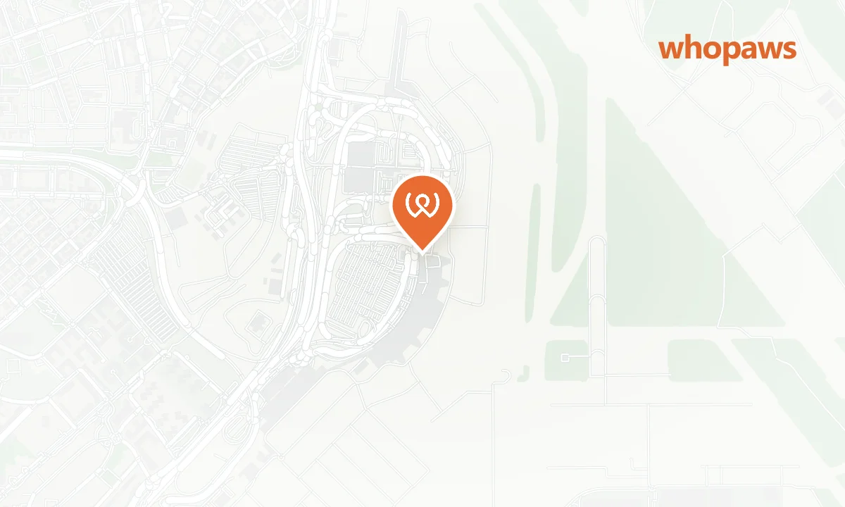 Mapa de la ubicación de Aeropuerto Madrid-Barajas T1