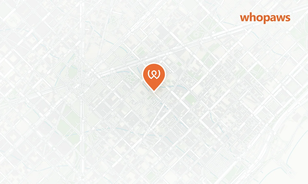 Mapa de la ubicación de Sopa Barcelona