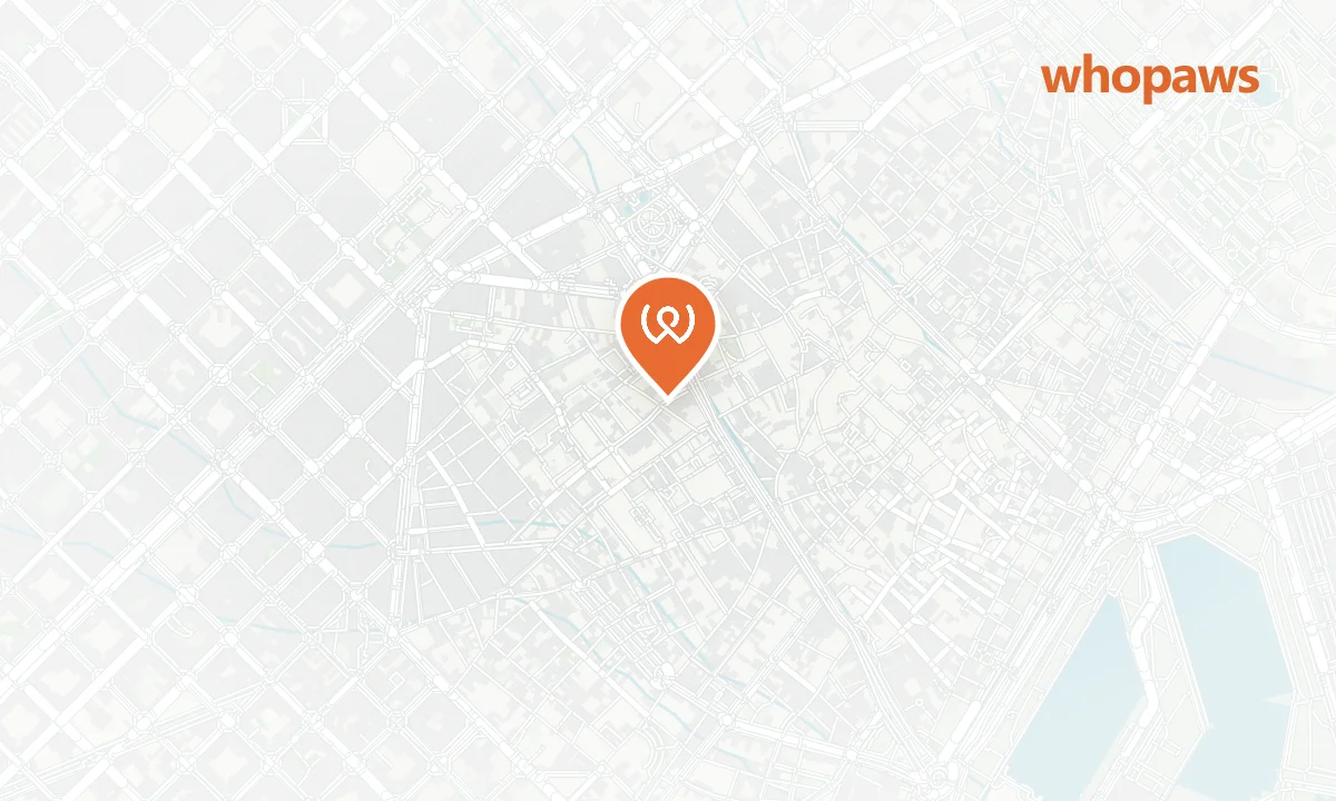 Mapa de la ubicación de Bar Lobo