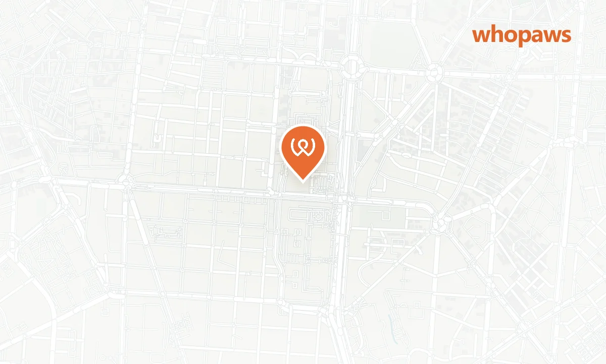 Mapa de la ubicación de El Corte Inglés Castellana