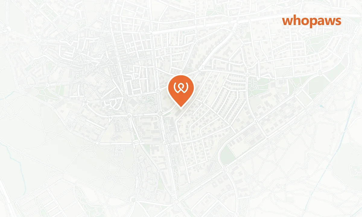 Mapa de la ubicación de Hotel Majadahonda