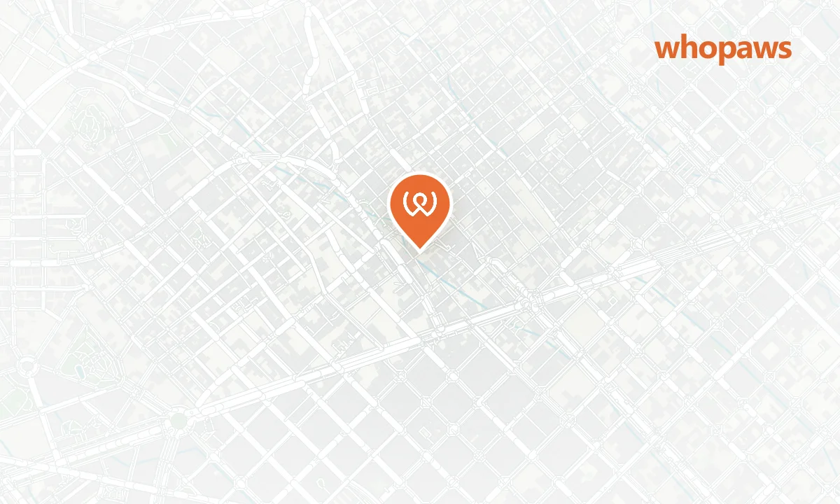 Mapa de la ubicación de SlowMov