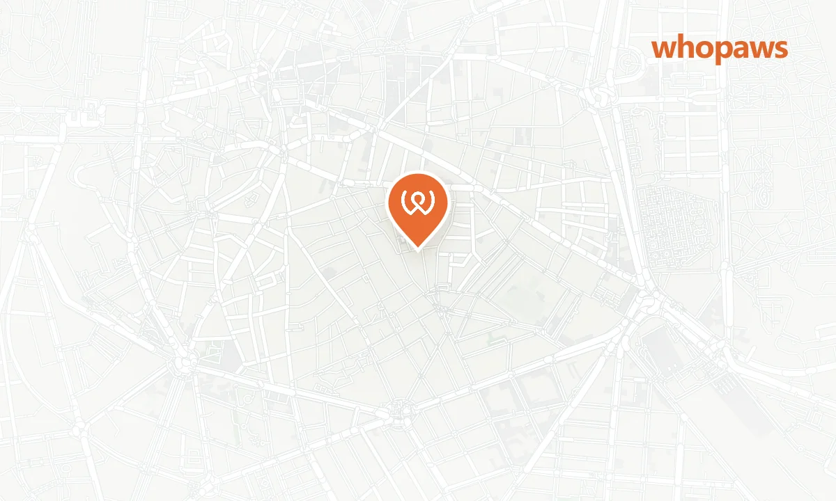 Mapa de la ubicación de El Perkal de Lavapiés
