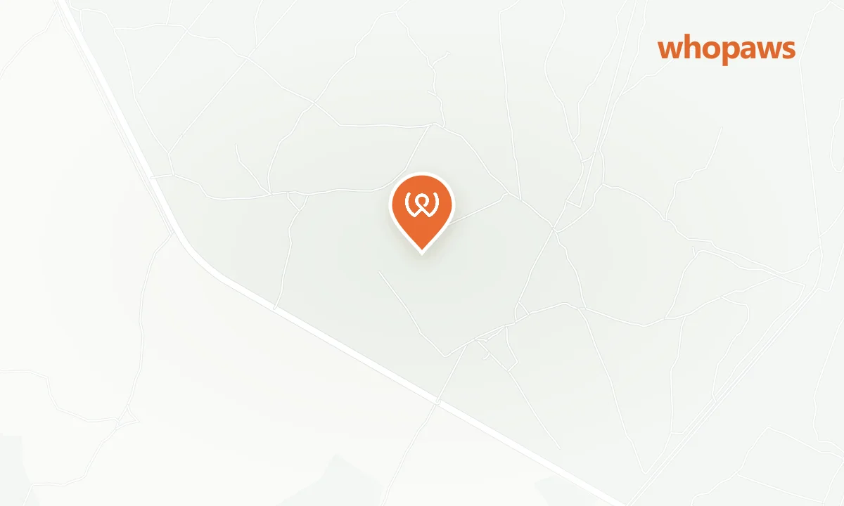 Mapa de la ubicación de Playa de Na Patana