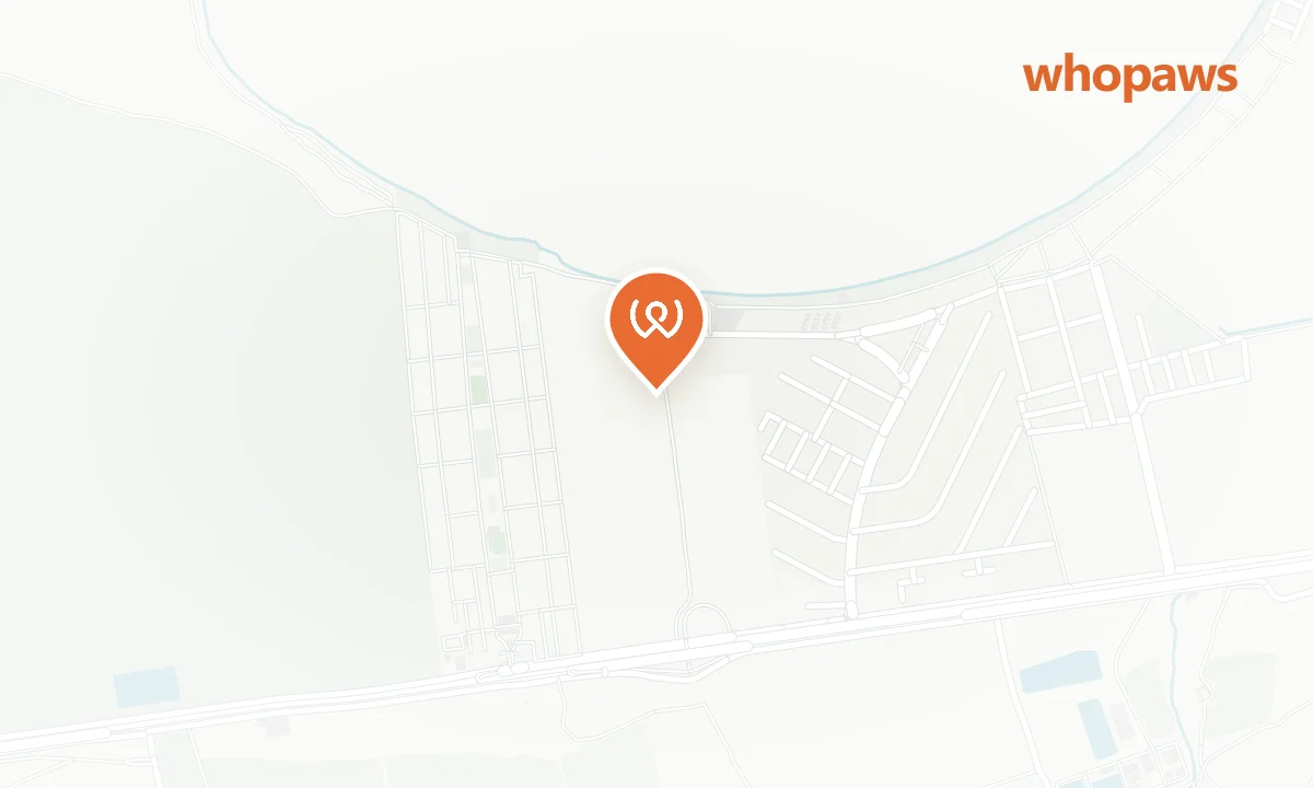 Mapa de la ubicación de Playa Paraíso (Los Alemanes)