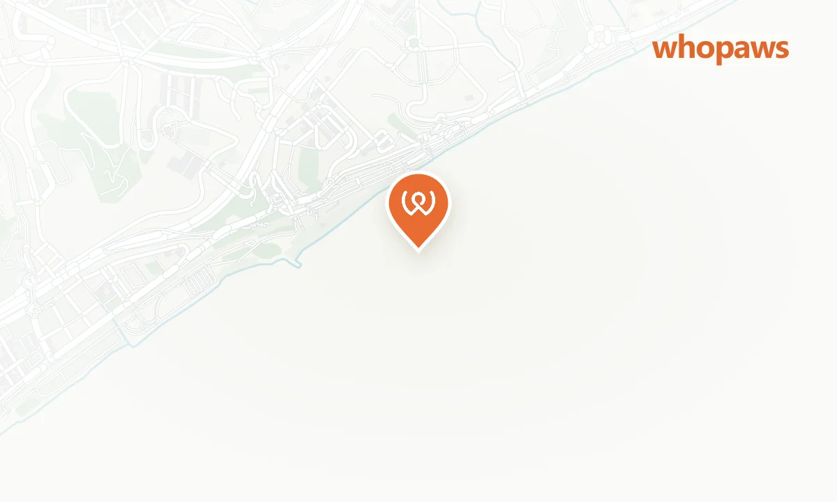 Mapa de la ubicación de Playa de Ocata (zona canina)