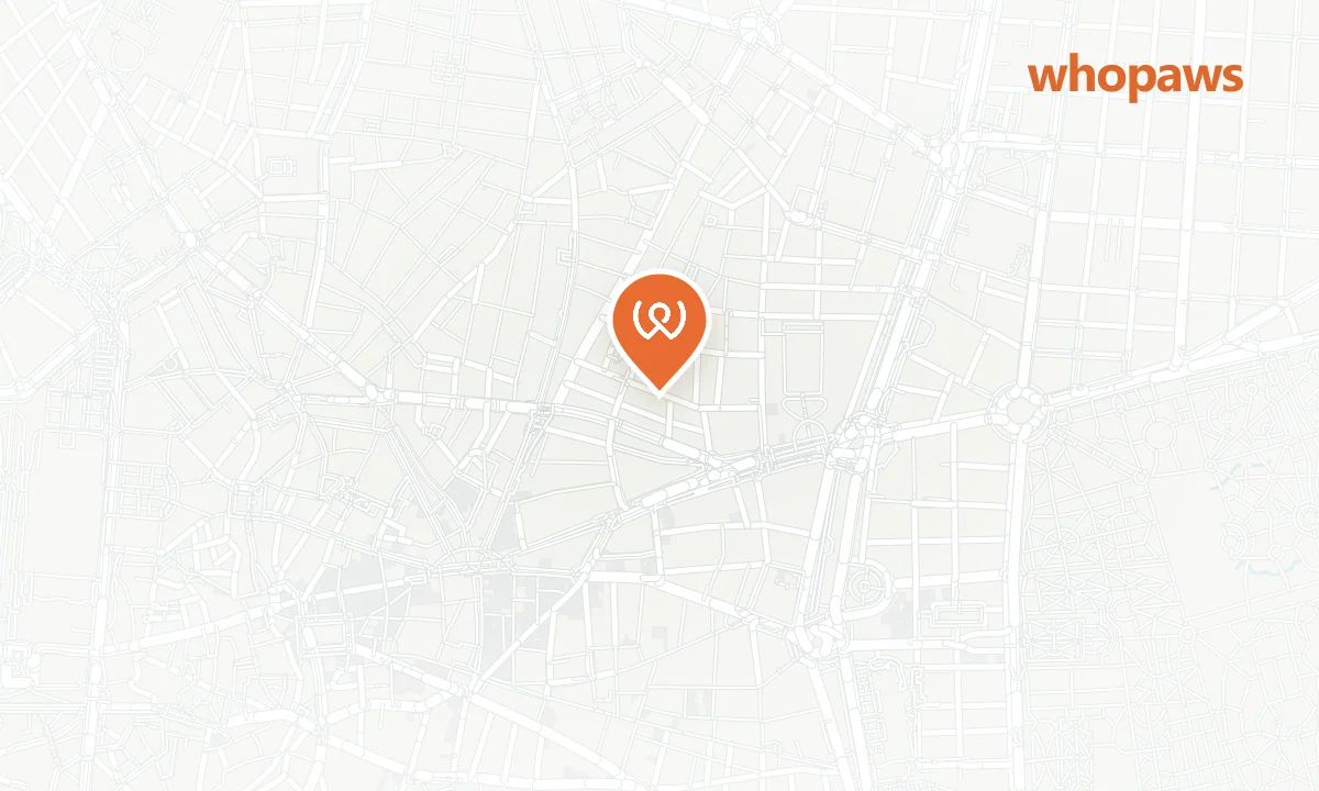 Mapa de la ubicación de Frenchie Bar