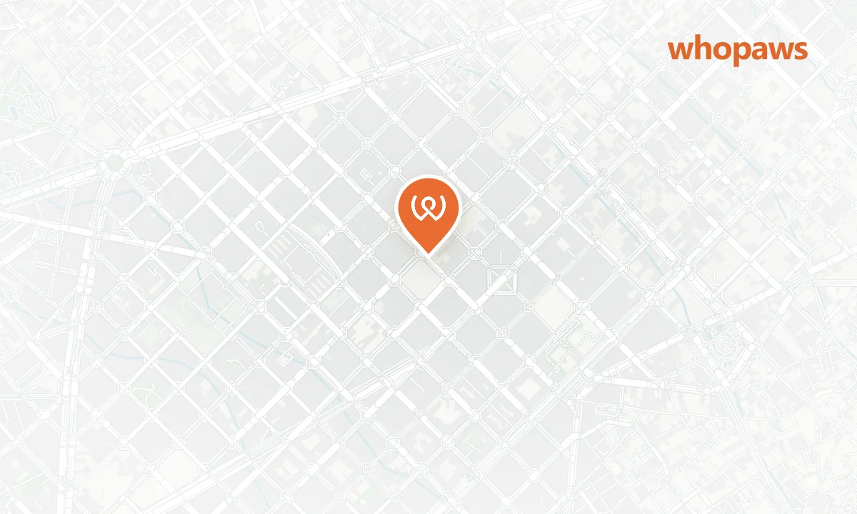 Mapa de la ubicación de La Papa Barcelona