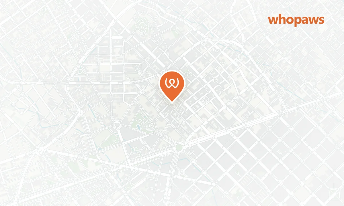 Mapa de la ubicación de Annick Pastisseria Salo de te