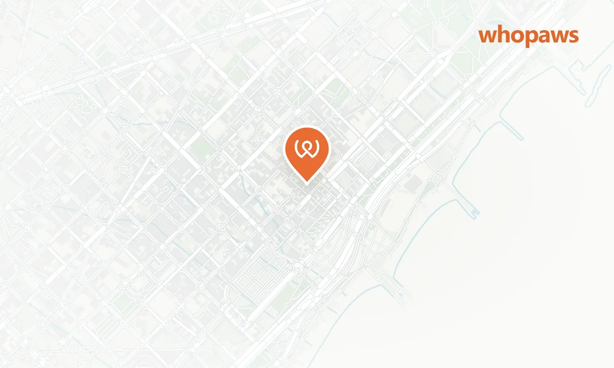 Mapa de la ubicación de Nollegiu