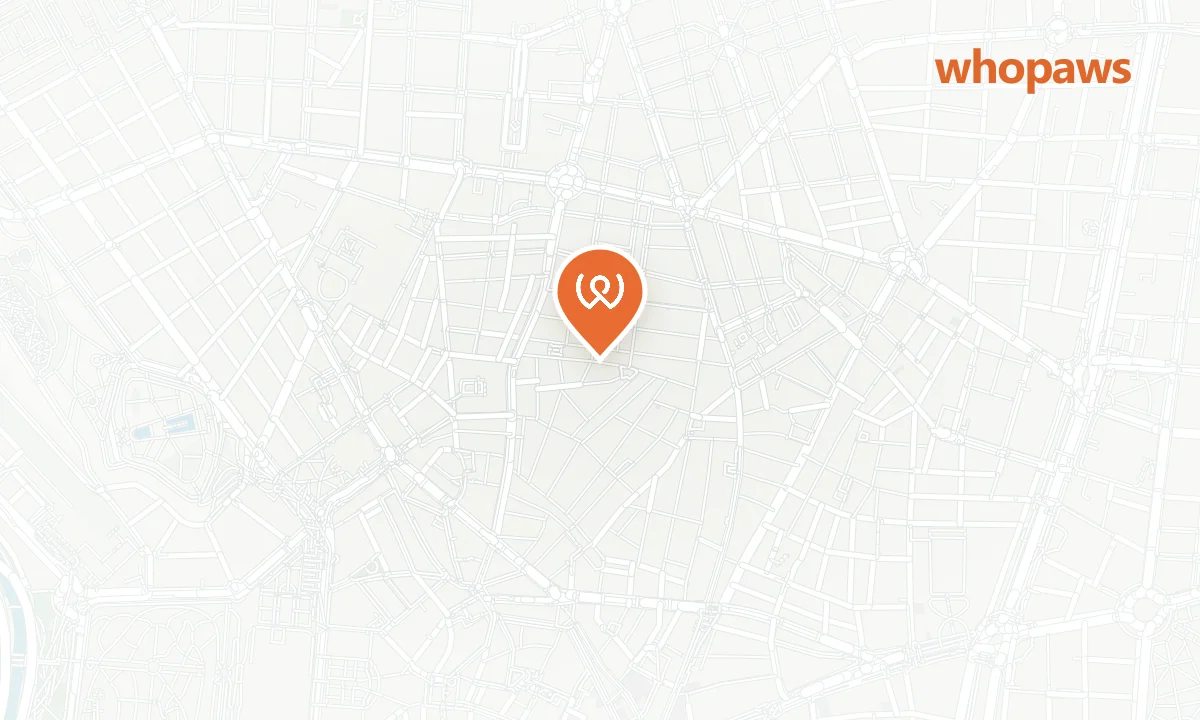 Mapa de la ubicación de Coco Bar