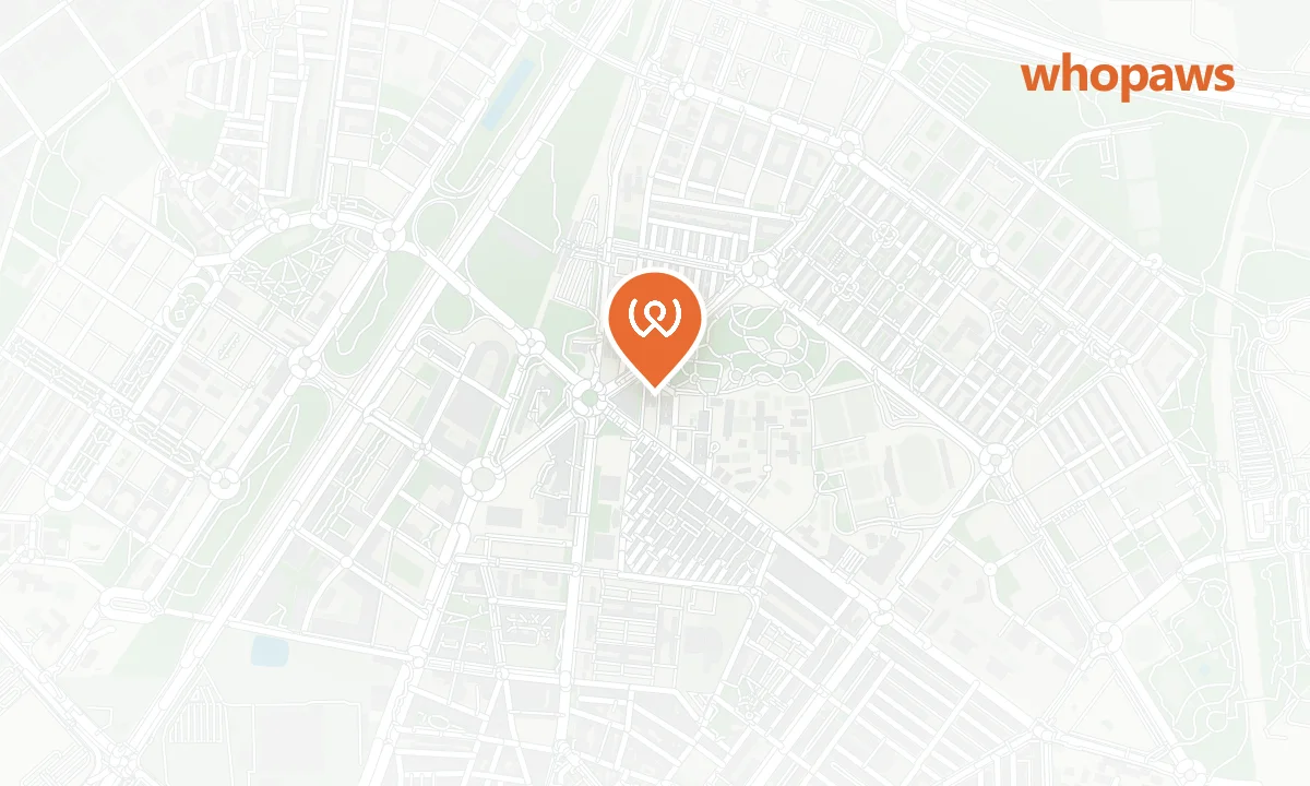 Mapa de la ubicación de Repsol Getafe A-42 (Autolavado Canino)