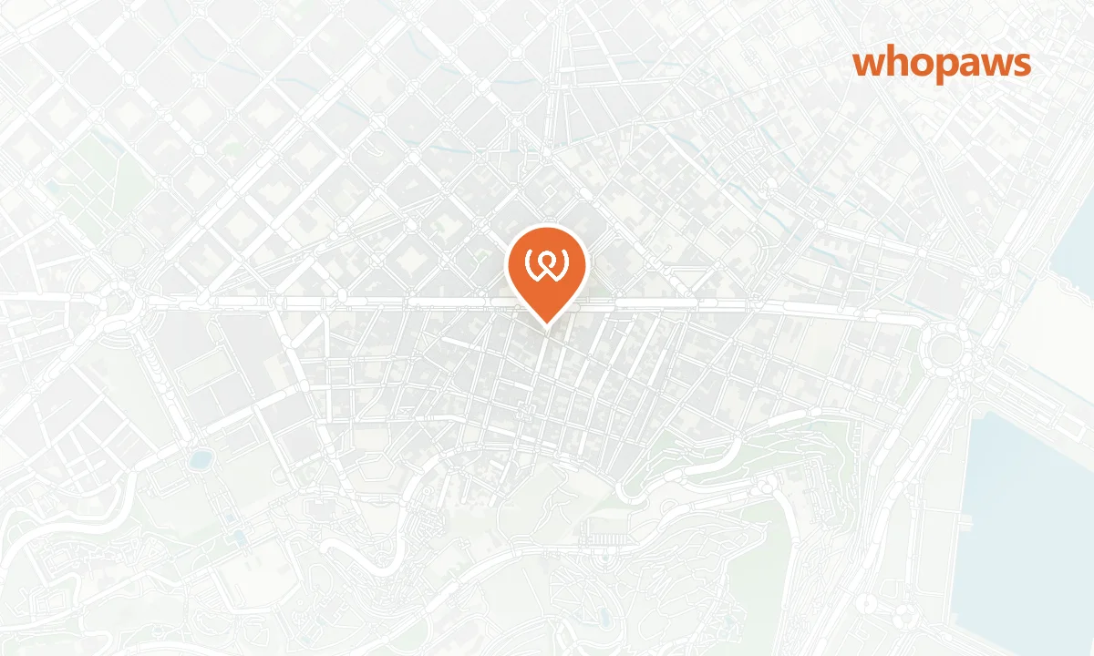 Mapa de la ubicación de Cactus Café