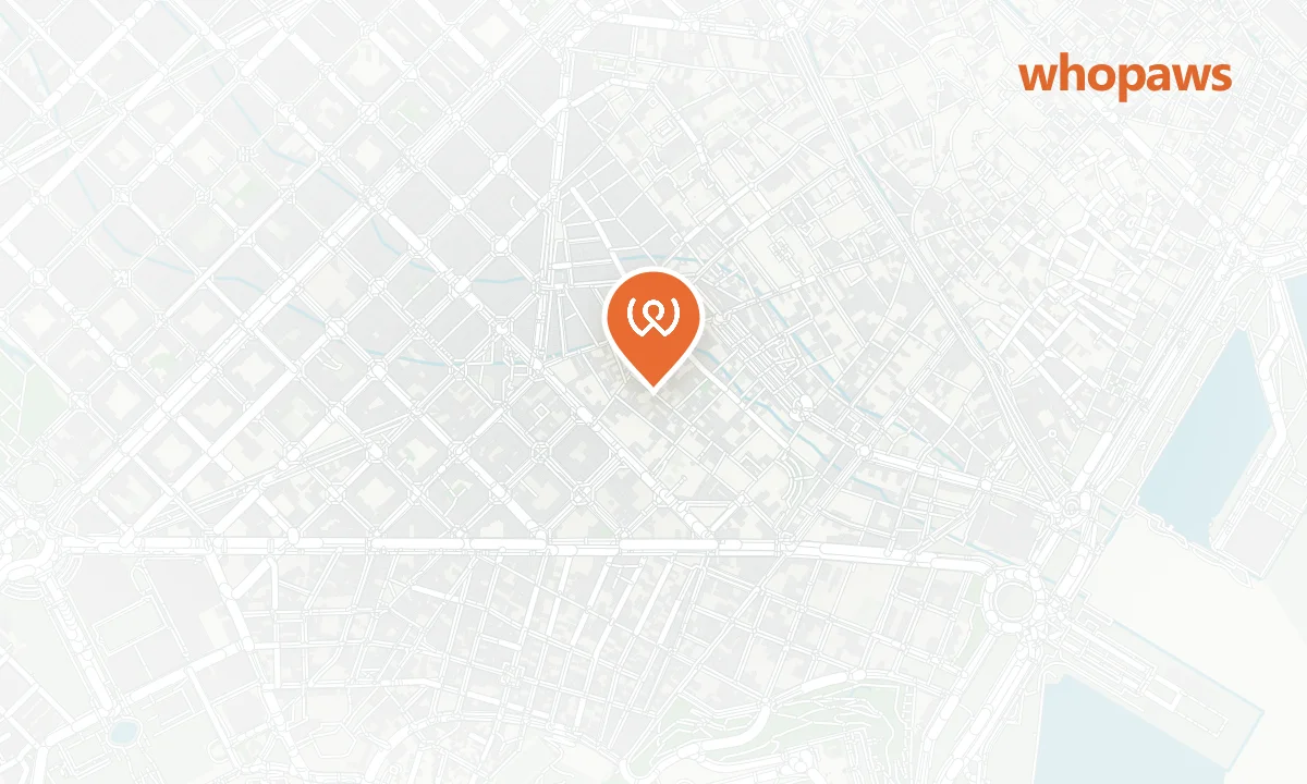 Mapa de la ubicación de Lo de Flor