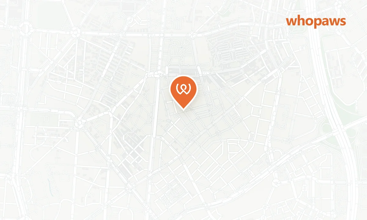Mapa de la ubicación de POTE café-bar