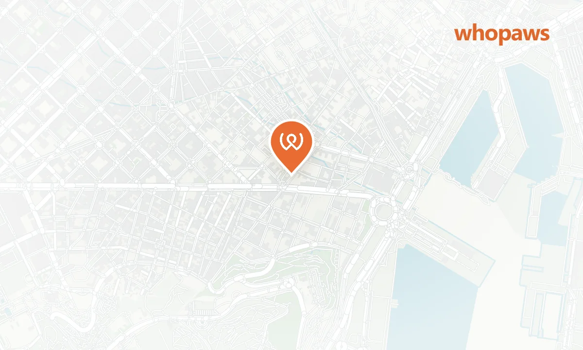 Mapa de la ubicación de Macera Taller Barcelona