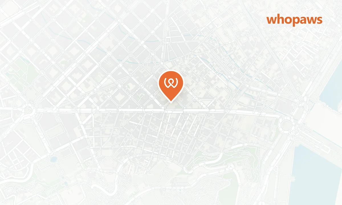 Mapa de la ubicación de Flipá