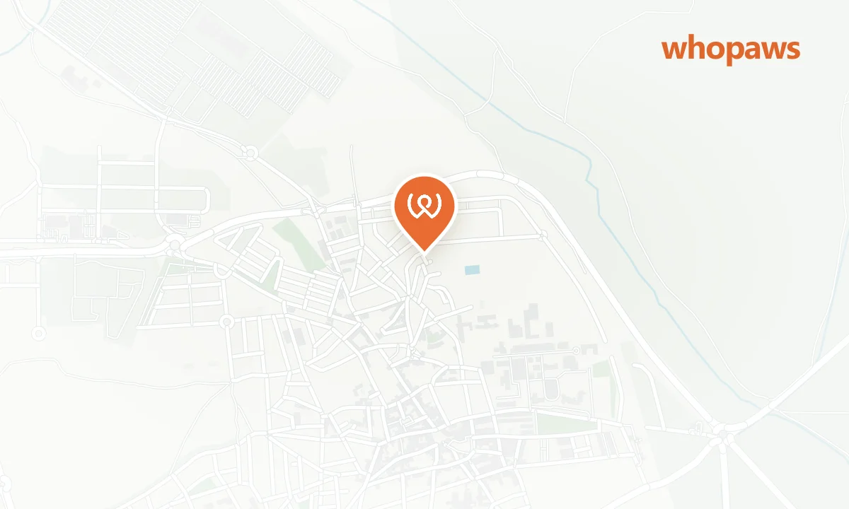 Mapa de la ubicación de Repsol Ciempozuelos Ctra. San Martín