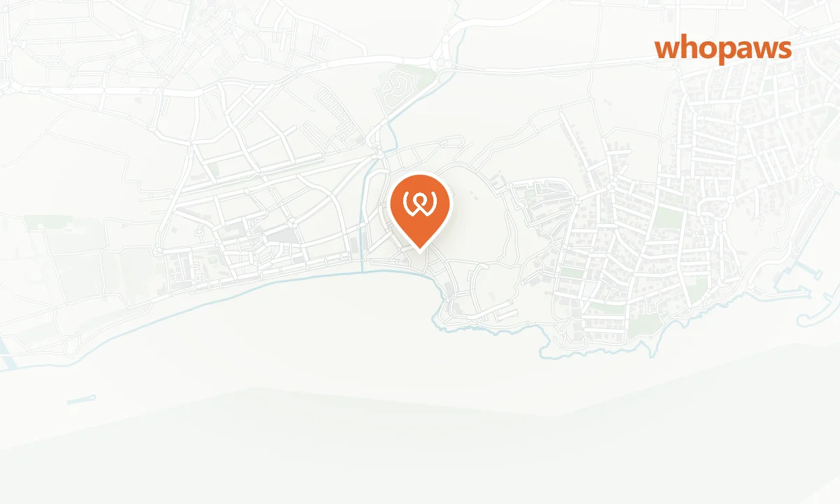 Mapa de la ubicación de Platja d'Altafulla (zona canina)