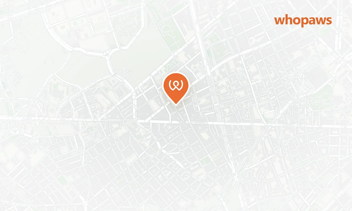 Mapa de la ubicación de Brunchies