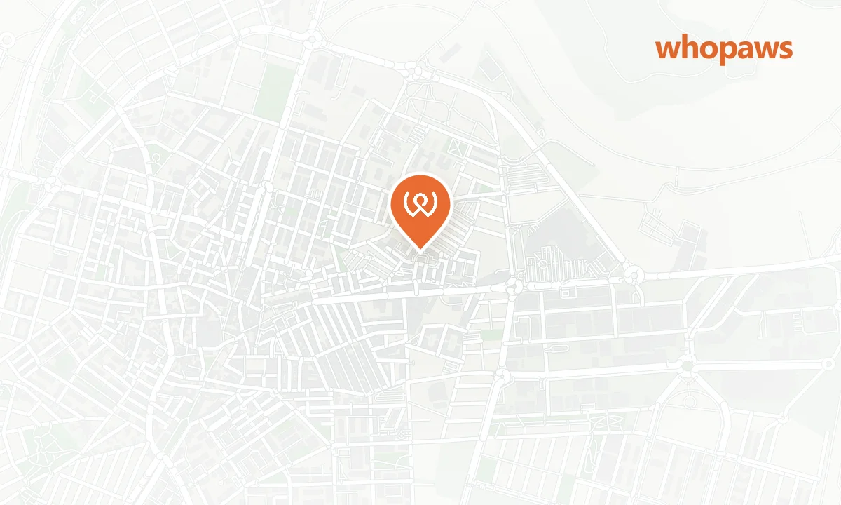 Mapa de la ubicación de Repsol Parla Calle Pinto (Autolavado Canino)