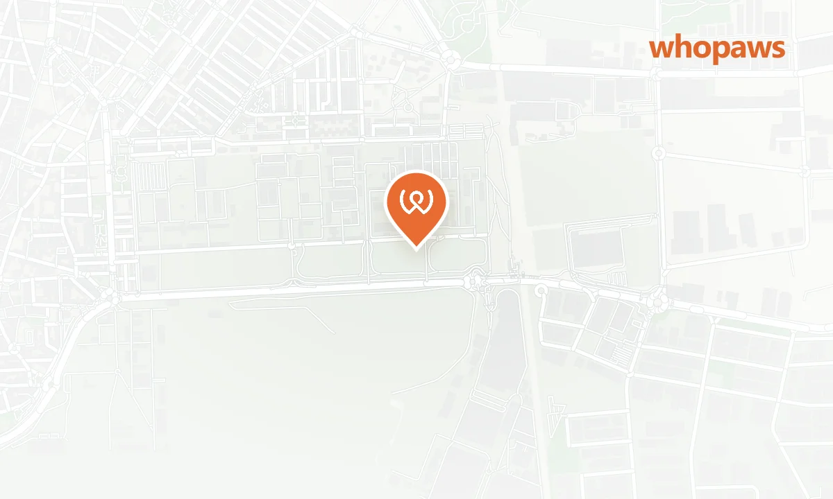 Mapa de la ubicación de Holiday Inn Express Madrid - Getafe