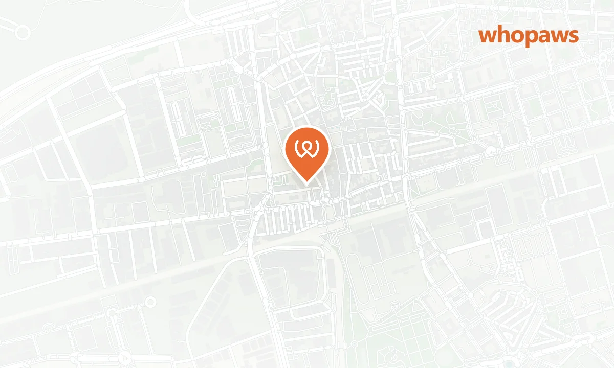 Mapa de la ubicación de Hostal El Ruedo