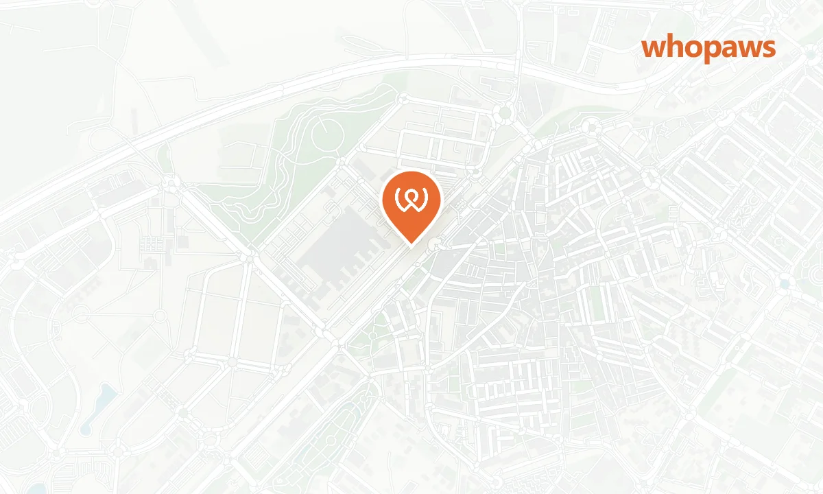 Mapa de la ubicación de NH Alcorcón