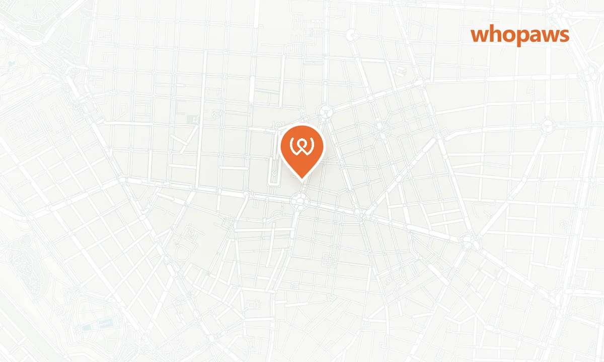 Mapa de la ubicación de Tiflis Madrid